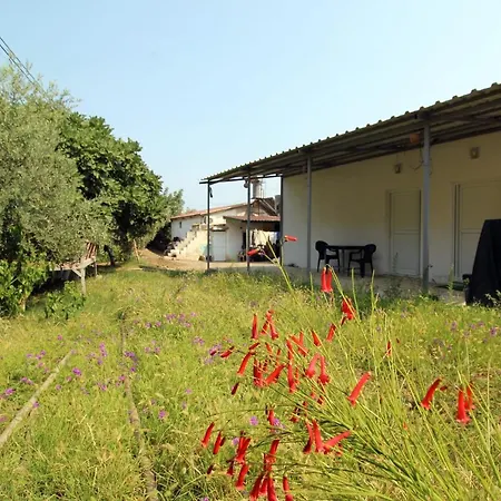 Homestay Gold Altinkaya Camping Apart Pension Kemer