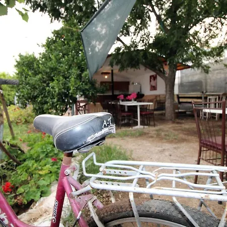 Homestay Gold Altinkaya Camping Apart Pension