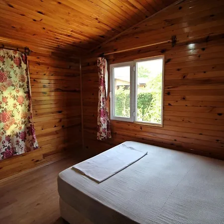 Homestay Gold Altinkaya Camping Apart Pension